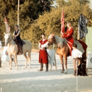 Des chevaux et des cavaliers costumés à l'époque médiévale