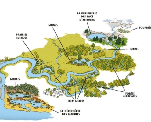 Extrait de la Carte zones humides marais prairies peripherie lagune et lac tournieres et mares