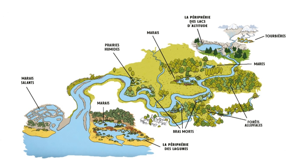Carte zones humides marais prairies peripherie lagune et lac tournieres et mares