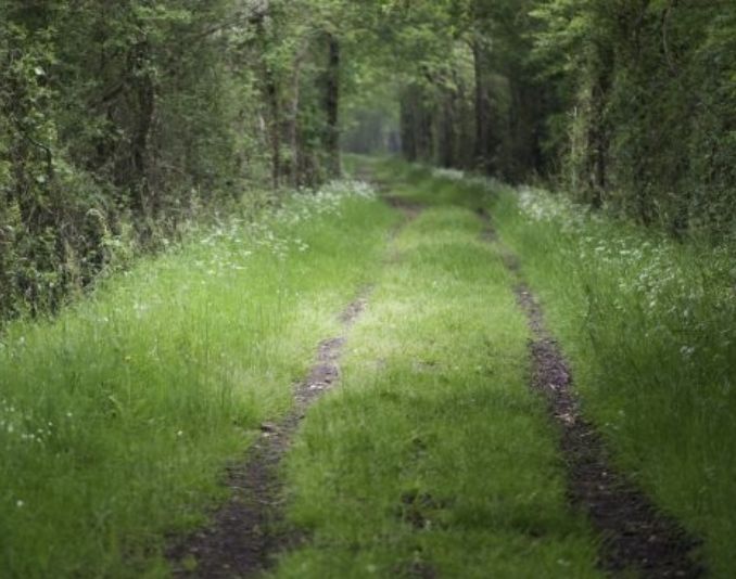 chemin de randonnée